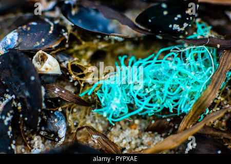 Macro close up of jetsam washed on a beach showing sea pollution with plastic nets Stock Photo