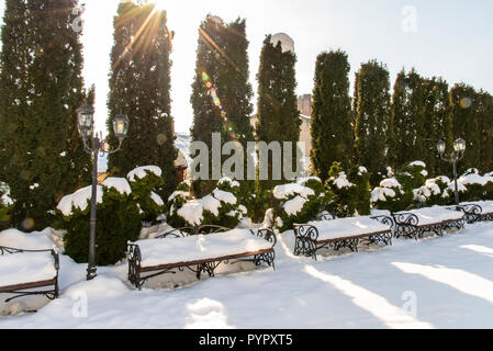 Evergreen hedge of columnar Thuja occidentalis in snow covered yard, winter time. Landscaping, gardening services Stock Photo