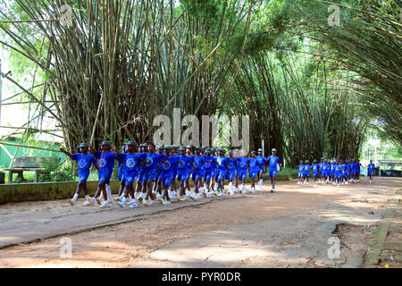 School children practice marching under bamboo arches in front of the Botanical Gardens at Bingerville near Abidjan, Cote D'Ivoire Stock Photo