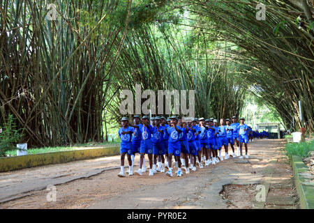 School children practice marching under bamboo arches in front of the Botanical Gardens at Bingerville near Abidjan, Cote D'Ivoire Stock Photo