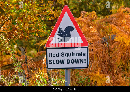 RED SQUIRREL ROADSIDE WARNING SIGN HIGHLANDS SCOTLAND Stock Photo