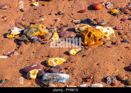 Highly coloured pebbles on a sandy beach in Devon, UK. Stock Photo
