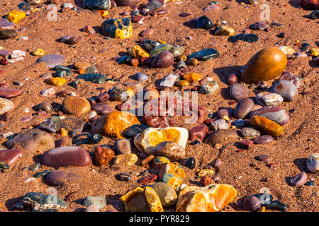 Highly coloured pebbles on a sandy beach in Devon, UK. Stock Photo