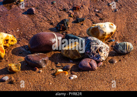 Highly coloured pebbles on a sandy beach in Devon, UK. Stock Photo