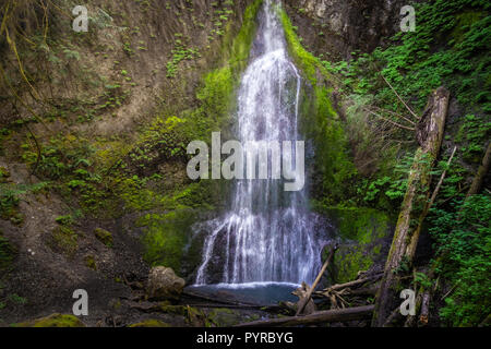 Marymere Falls, near Lake Crescent, Olympic National Park or Peninsula, Washington state, USA. Stock Photo