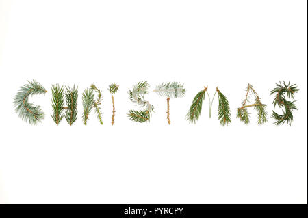 Christmas composition. Word Christmas made of different winter plants on white background. Flat lay, top view. Stock Photo