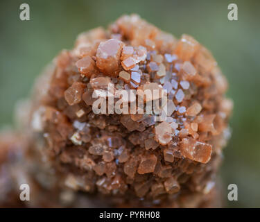 Aragonite star cluster from Morocco on fibrous tree bark in the forest preserve. Stock Photo