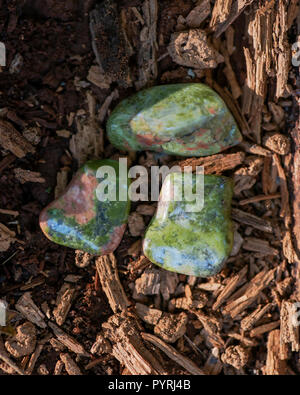 Polished Unakite stones from Unakas Mountains in North Carolina. On a tree bark in the forest preserve. Stock Photo