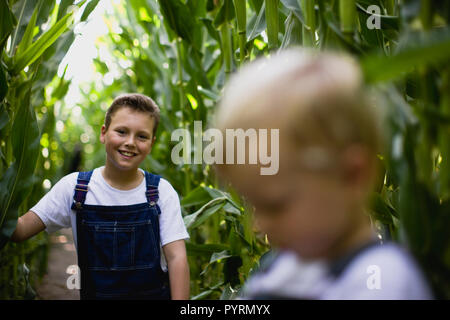Two brothers playing in a corn field. Stock Photo