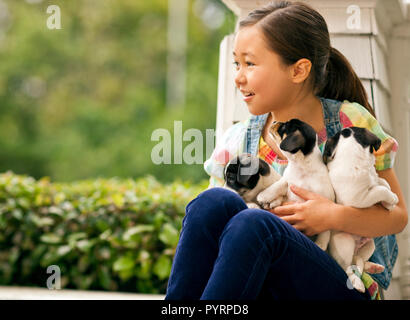 Smiling young girl holding three puppies in her lap. Stock Photo