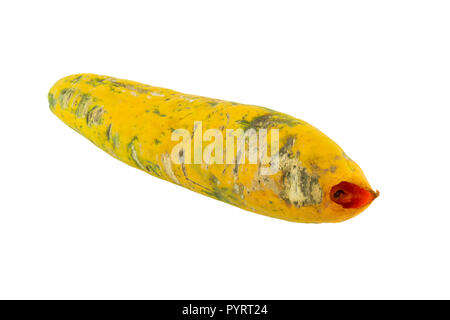 rotten papaya on white isolate background Stock Photo