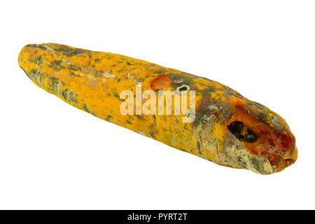 rotten papaya on white isolate background Stock Photo