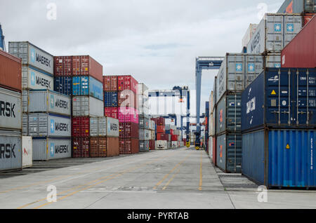 Containers Yard at Balboa in Panama City Stock Photo