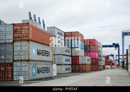 Containers Yard at Balboa in Panama City Stock Photo