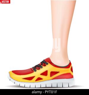 Leg with Sport sneakers Stock Vector