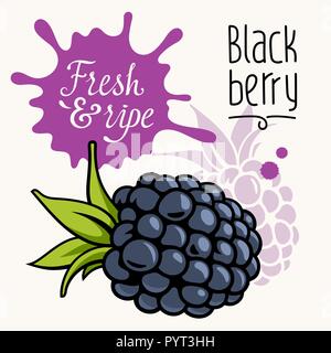 Vector illustration of ripe juicy blackberry. Concept for the Farmers market. Idea for the label design. Organic, local grown products Stock Vector