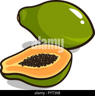 Vector illustration of ripe papaya fruits isolated on white Stock Vector