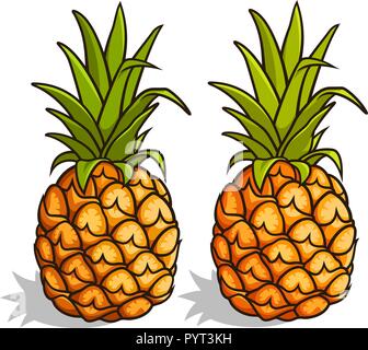 Vector illustration of pineapples isolated on white Stock Vector