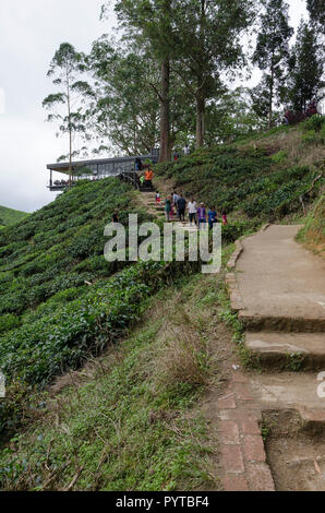 Cameron Highlands, Malaysia - 30 December 2016: Sungai Palas BOH Tea House, one of the most visited tea house by tourists in Cameron Highland, Malaysi Stock Photo