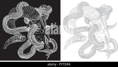 Snake and goat skull. Hand drawn engraving style vector illustration light gray on white and black background. Sticker, poster, t shirt print, tattoo. Stock Vector