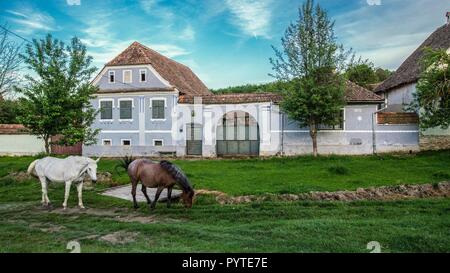 ROMANIA,  evening in the small remote village of Viscri, founded by Transylvanian Saxons, UNESCO World Heritage Stock Photo