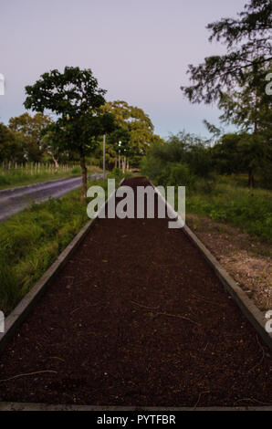 Path of small red stones, many green trees background, path of life concept. Stock Photo