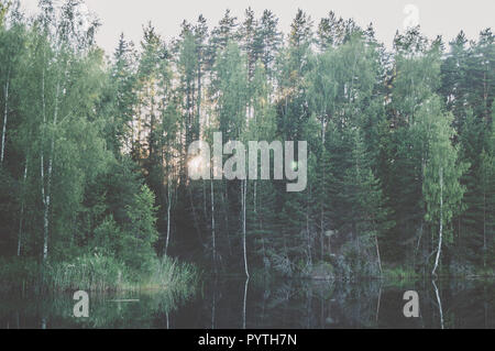 Green Landscape view with green trees and reflection in water. Summer time. Stock Photo