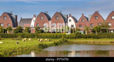 Suburban area with modern family houses outside town in the fields with sheep Stock Photo