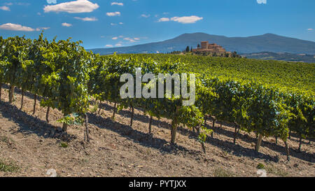 Tuscan Castle Overseeing Vineyards with  Rows of grapes from a Hill on a Clear Summer Day Stock Photo