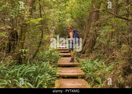 Middle age woman hiking, Cape Alava Trail, temperate rain forest, near Cape Alava, Pacific Coast, Olympic National Park, Washington state, USA Stock Photo