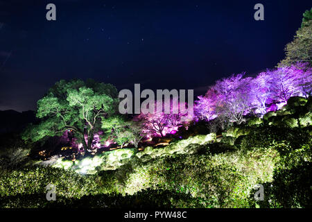 Trees and plants night lighting at Mifuneyama Rakuen Garden Park in Saga, Japan Stock Photo