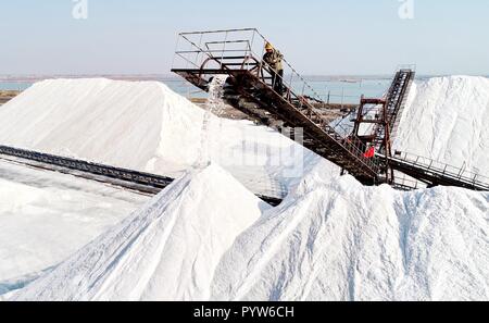 Tangshan, China's Hebei Province. 30th Oct, 2018. A worker piles up salt at the Daqinghe sea salt flat in Tangshan, north China's Hebei Province, Oct. 30, 2018. Credit: Yang Shiyao/Xinhua/Alamy Live News Stock Photo