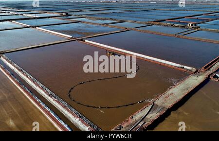 Tangshan, China's Hebei Province. 30th Oct, 2018. Workers collect salt at the Daqinghe sea salt flat in Tangshan, north China's Hebei Province, Oct. 30, 2018. Credit: Yang Shiyao/Xinhua/Alamy Live News Stock Photo