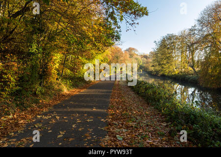 Belfast, N.Ireland, 30th October, 2018. UK Weather: Early risers enjoy beautiful autumn colours on a cold frosty morning on the Lagan towpath in South Belfast. Credit: Ian Proctor/Alamy Live News Stock Photo