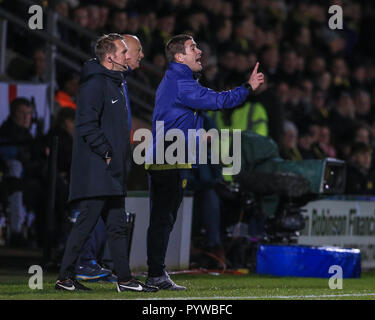 Burton upon Trent, UK. 30th Oct, 2018. Carabao EFL Cup, Fourth Round, Burton Albion v Nottingham Forest : Nigel Clough manager of Burton Albion issues instructions to his team Credit: Mark Cosgrove/News Images English Football League images are subject to DataCo Licence Credit: News Images /Alamy Live News Stock Photo