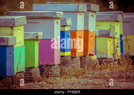 Colorful bee hives in a row on old car tires in vintage colors Stock Photo