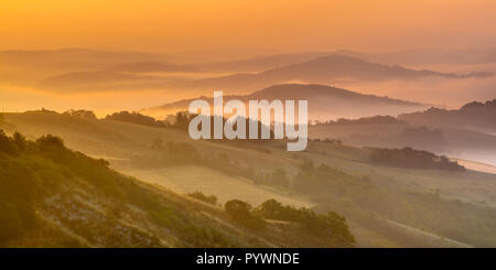 Rolling hill Landscape in Tuscany near Sienna on an Early august Morning, Italy Stock Photo