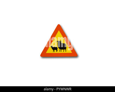 Iceland souvenir refrigerator magnet Road sign (Traffic sign) whith sheeps isolated on white background Stock Photo