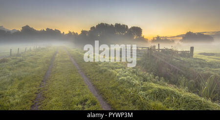 Foggy farmland with dirt track and gate and fences during sunrise in september, Drenthe Netherlands Stock Photo