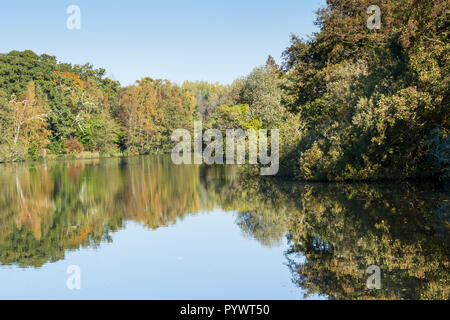 Tree reflections in a calm still lake on a sunny autumn morning, England,  UK Stock Photo