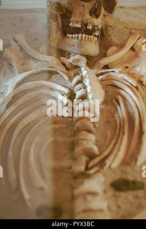 Skull and bones dug from a pit in a terrible cemetery with a dim light Stock Photo