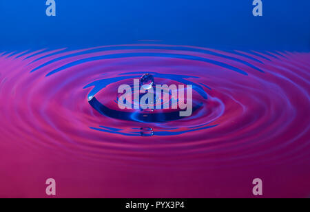 Close up dripping water droplet creating ripple effect concentric circles in water's surface. Pink, blue light reflections. Abstract liquid splashing. Stock Photo