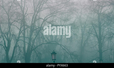 Surreal spooky foggy Halloween background, dark forest Stock Photo