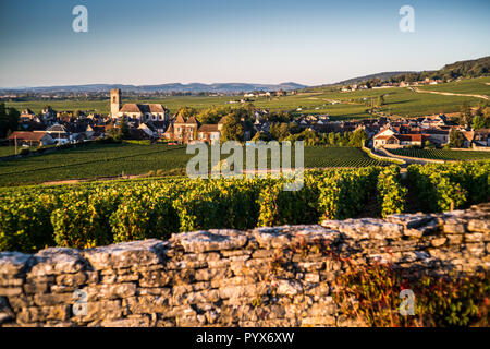 Vineyard with village Pommard in the background, Burgundy, France, Europe. Stock Photo