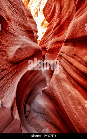 peekaboo slot canyon, Grand Staircase-Escalante National Monument, Utah, USA, North America Stock Photo