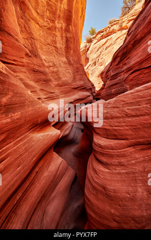 peekaboo slot canyon, Grand Staircase-Escalante National Monument, Utah, USA, North America Stock Photo