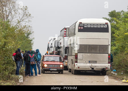 BERKASOVO, SERBIA - OCTOBER 17, 2015: Refugees, young men from Syria and Afghanistan, standing next to of the bus that brought them at the border betw Stock Photo