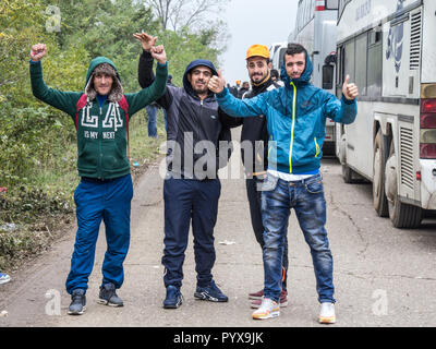 BERKASOVO, SERBIA - OCTOBER 17, 2015: Refugees, young men from Syria and Afghanistan, standing & posing in front of the bus that brought them at the b Stock Photo