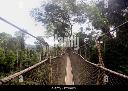 Tree canopy walk at Kakum National Park, Ghana Stock Photo