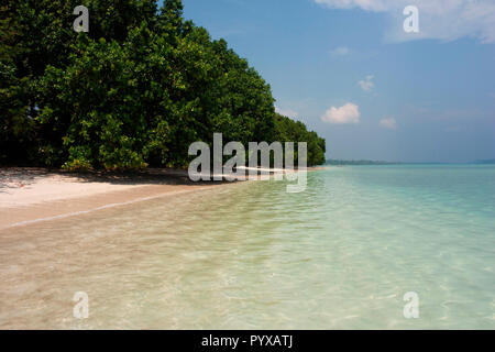 Mangrove trees on Havelock beach. Andaman Islands, India, 2013. Stock Photo